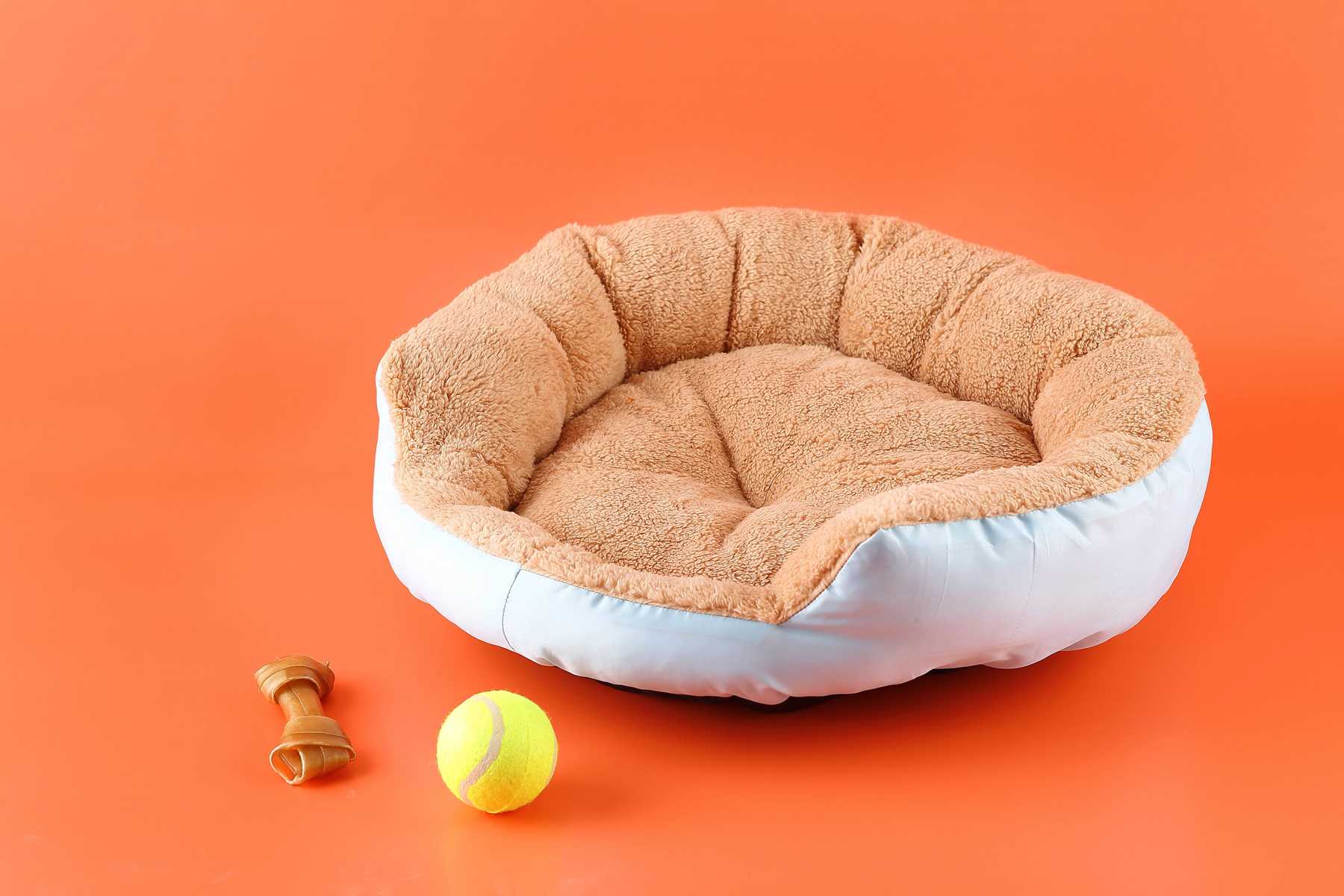 Guide complet du lavage de lit pour chien