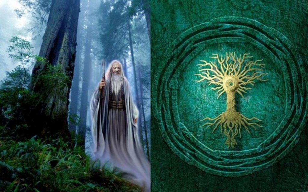 Arbre de vie : Signification, symboles et mythologie [GUIDE]
