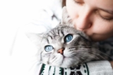 Adopter un chat : Notre guide complet