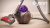 dyson cinetic big ball animal pro 2 : Il vient à bout des poils d’animaux sans condition !