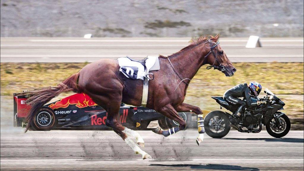 vitesse maximale d un cheval